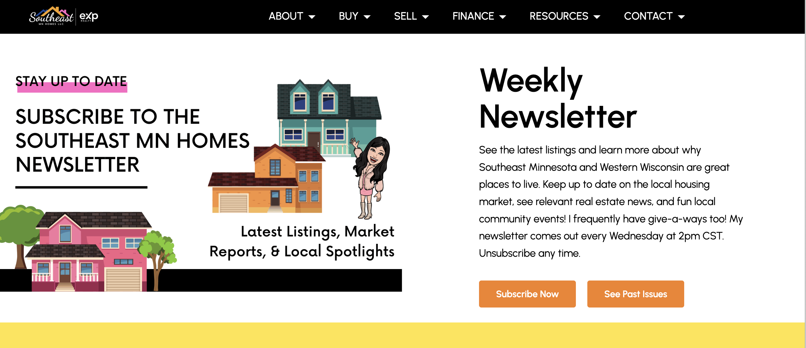 screenshot of Ann Huddock's real estate website